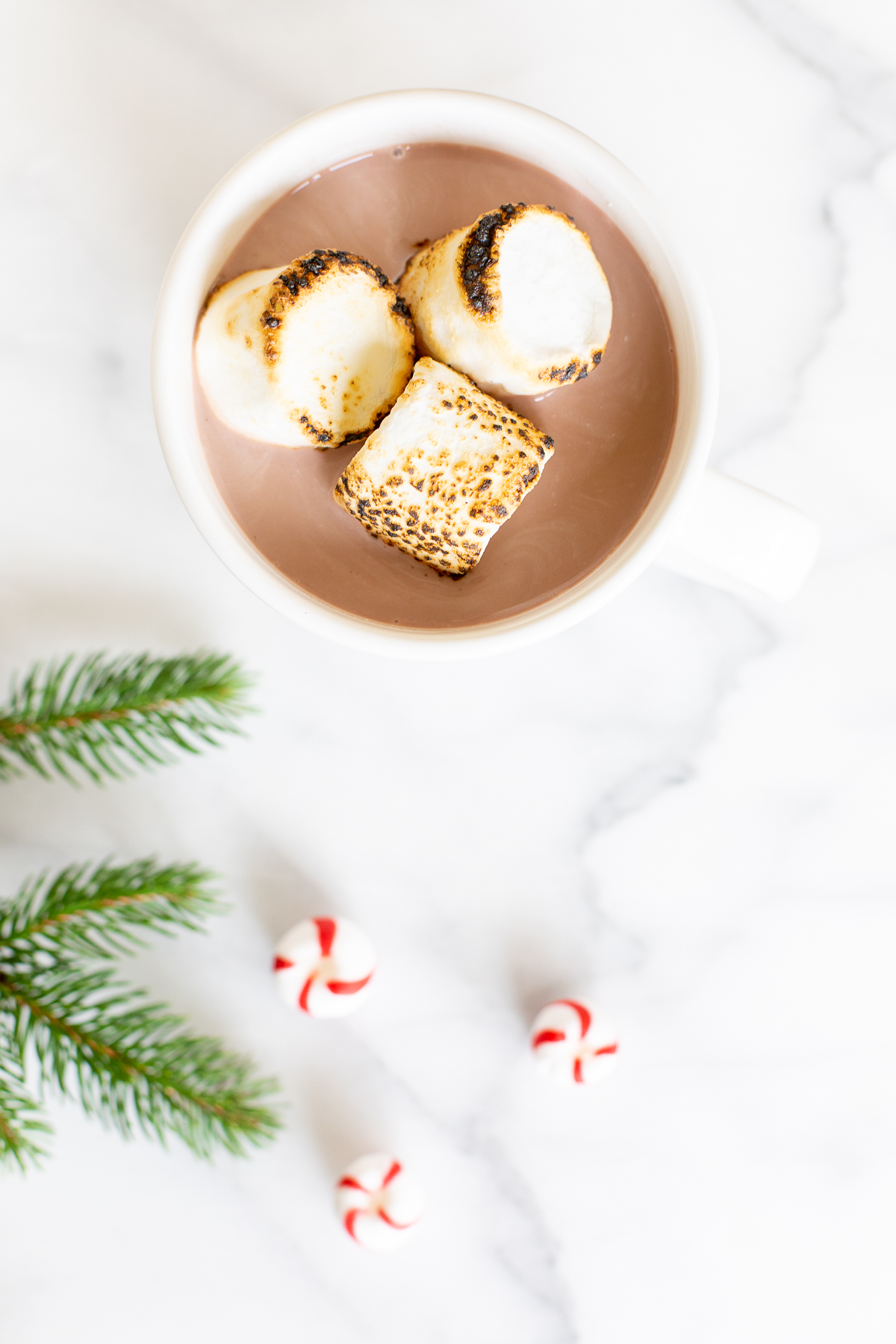 A white mug full of spiked hot chocolate, topped with toasted marshmallows.