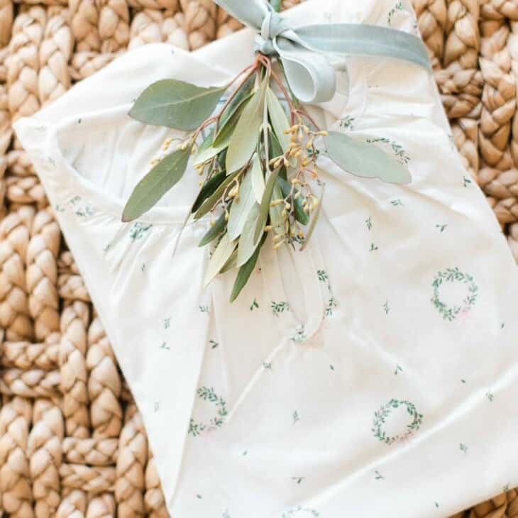 christmas pajamas on hyacinth with greenery