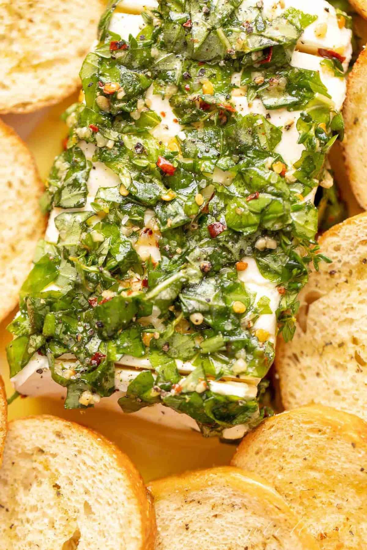 A cream cheese appetizer with marinated cream cheese recipe in herbs and oil, crostini to the side.
