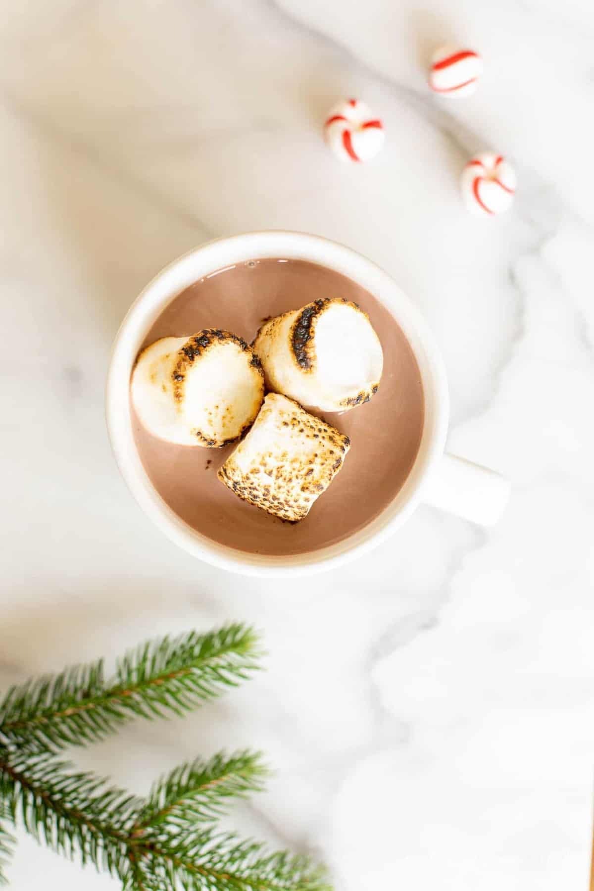 Looking into a mug of peppermint hot chocolate, marshmallows on top, greenery touch and peppermint candies to the side.