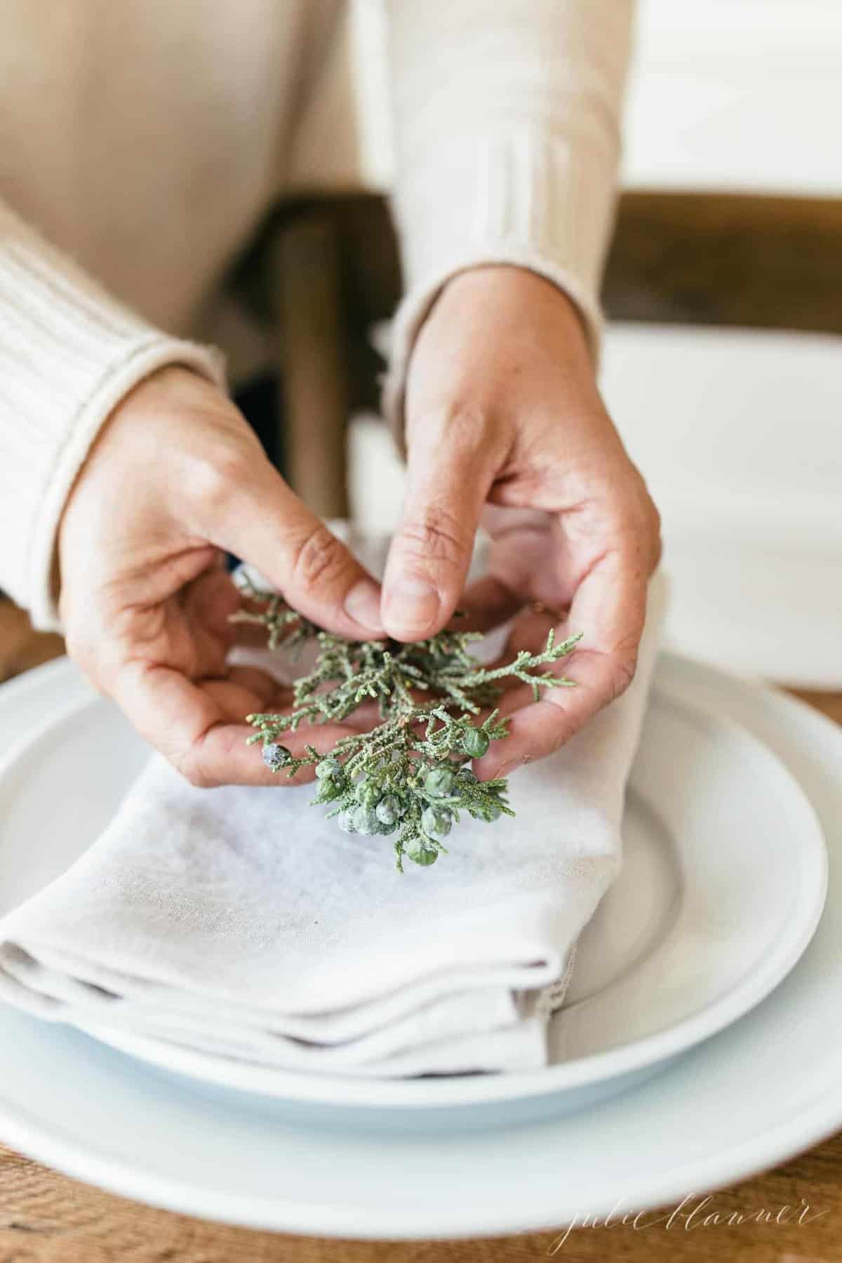 hands holding juniper putting it on a place setting