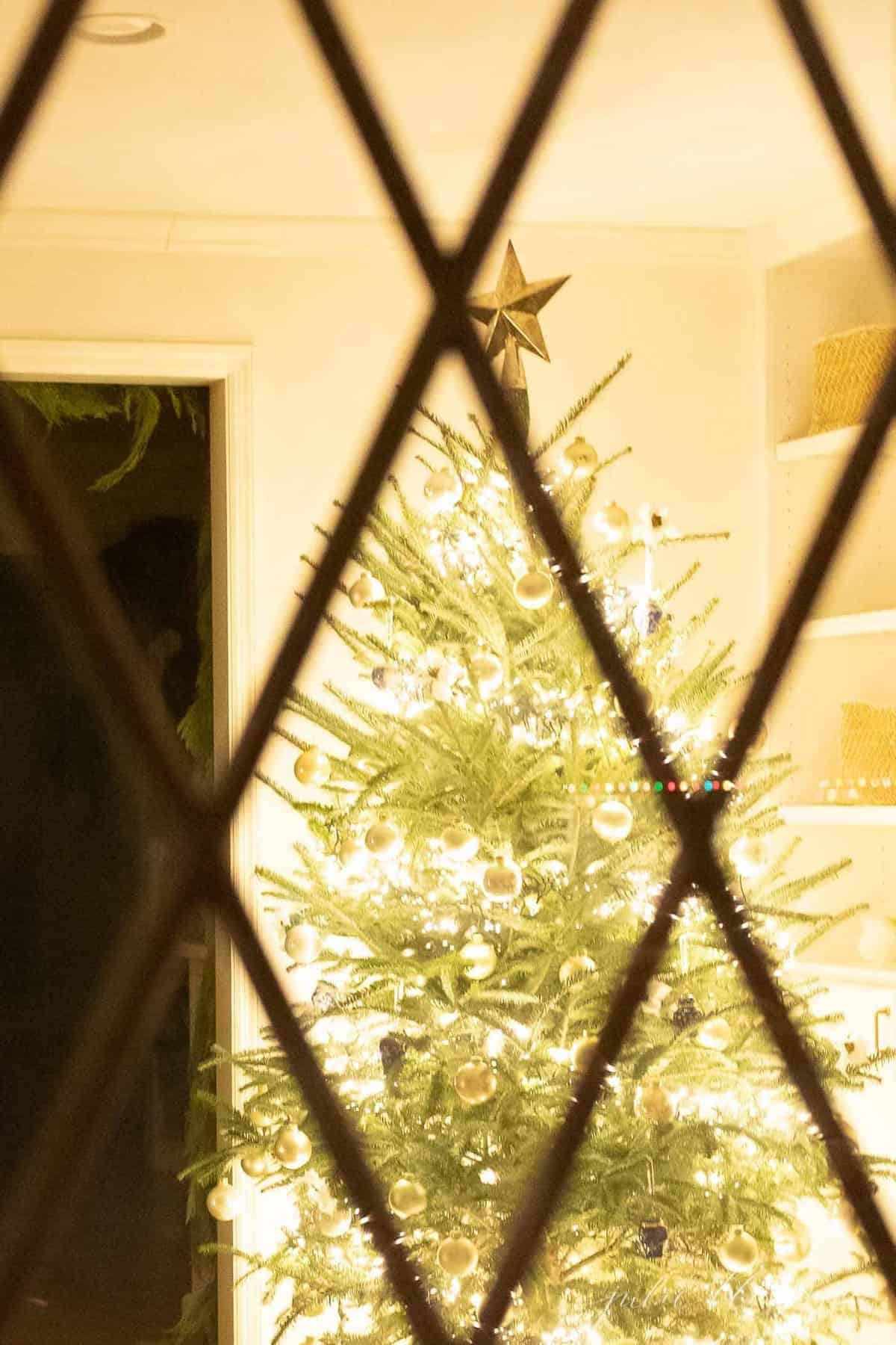 The view of a Christmas Tree from a window.