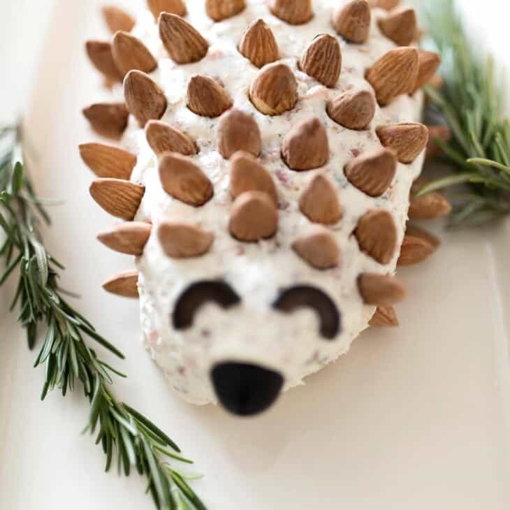 Cheeseball in the shape of a hedgehog on a white platter.