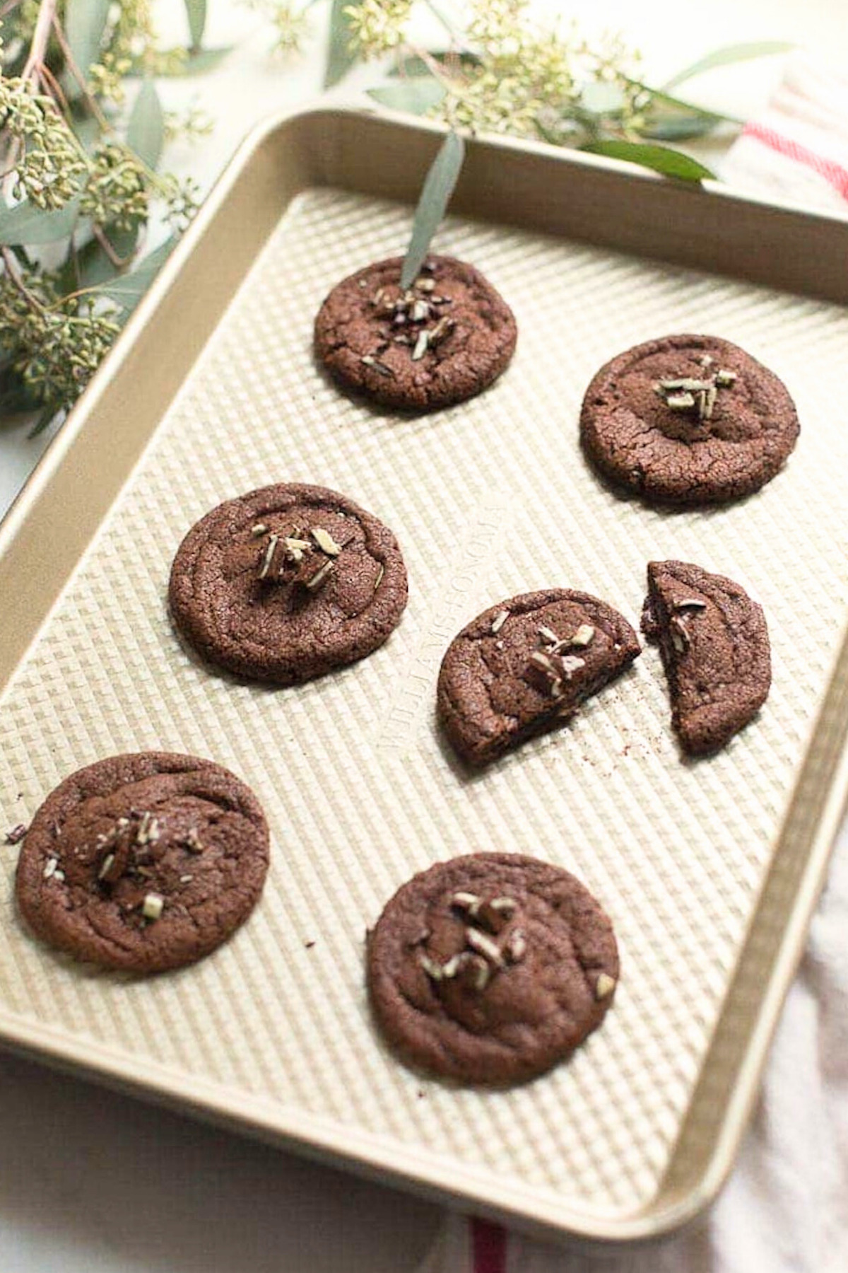 Chocolate cookies on a baking sheet with peppermint flavor.