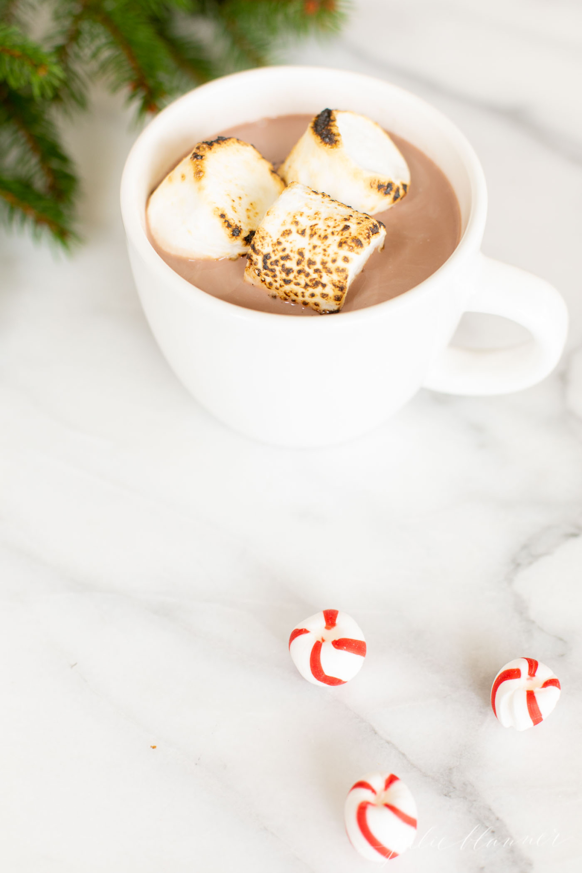 A cup of hot chocolate with marshmallows and a hint of peppermint flavor.