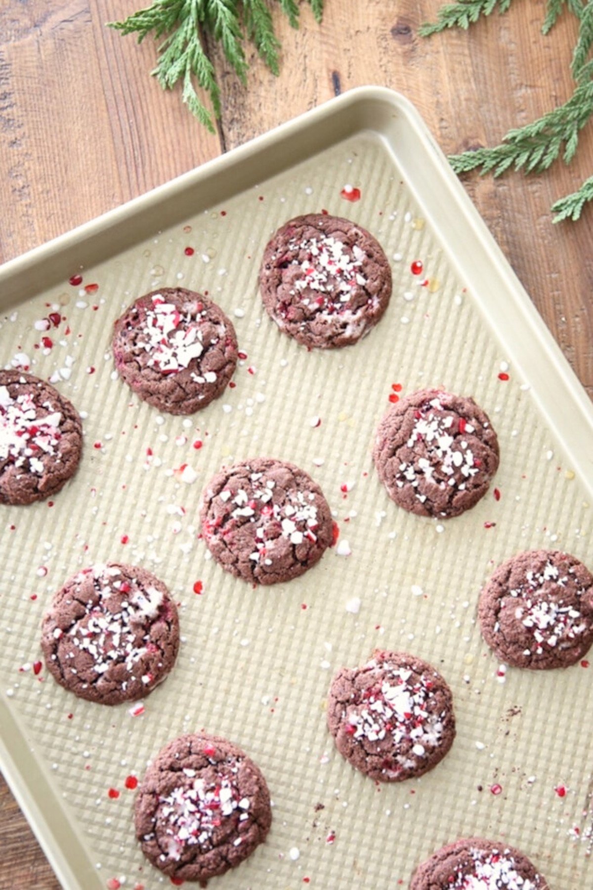 Chocolate peppermint cookies with a delightful peppermint flavor, baked on a sheet.