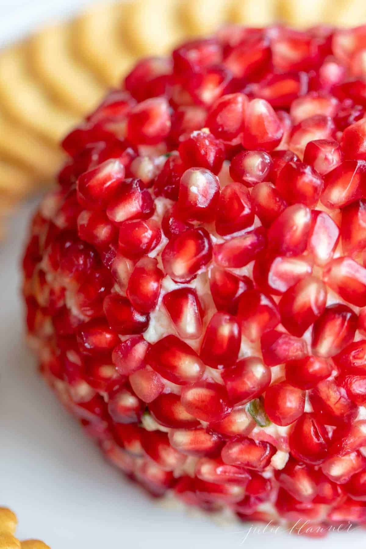 Close up of a festive holiday cheese ball, pomegranate cheeseball recipe.