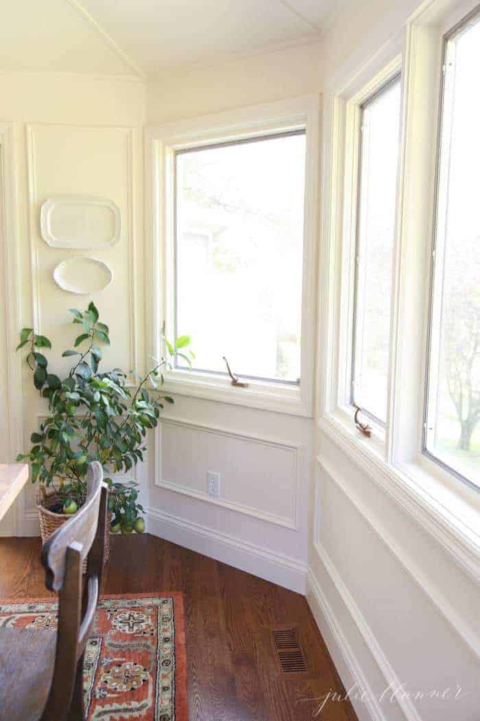 A white room with lots of windows, potted dwarf lemon tree in a basket.