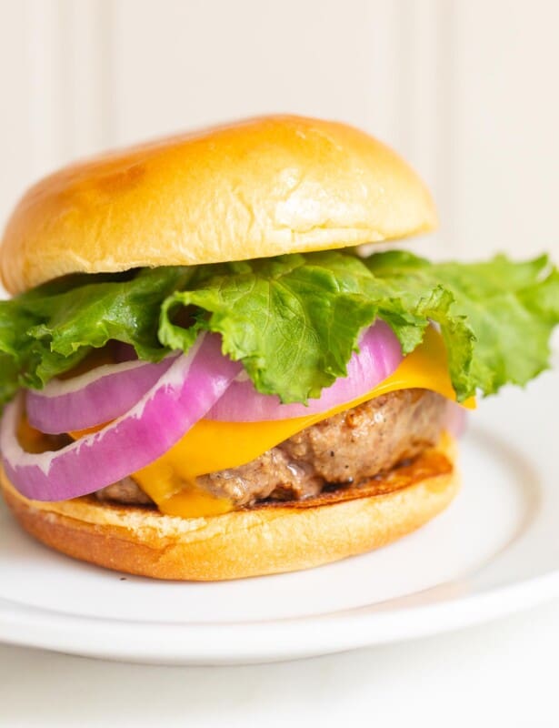 White plate with a juicy burger, complete with lettuce, onions and cheese.