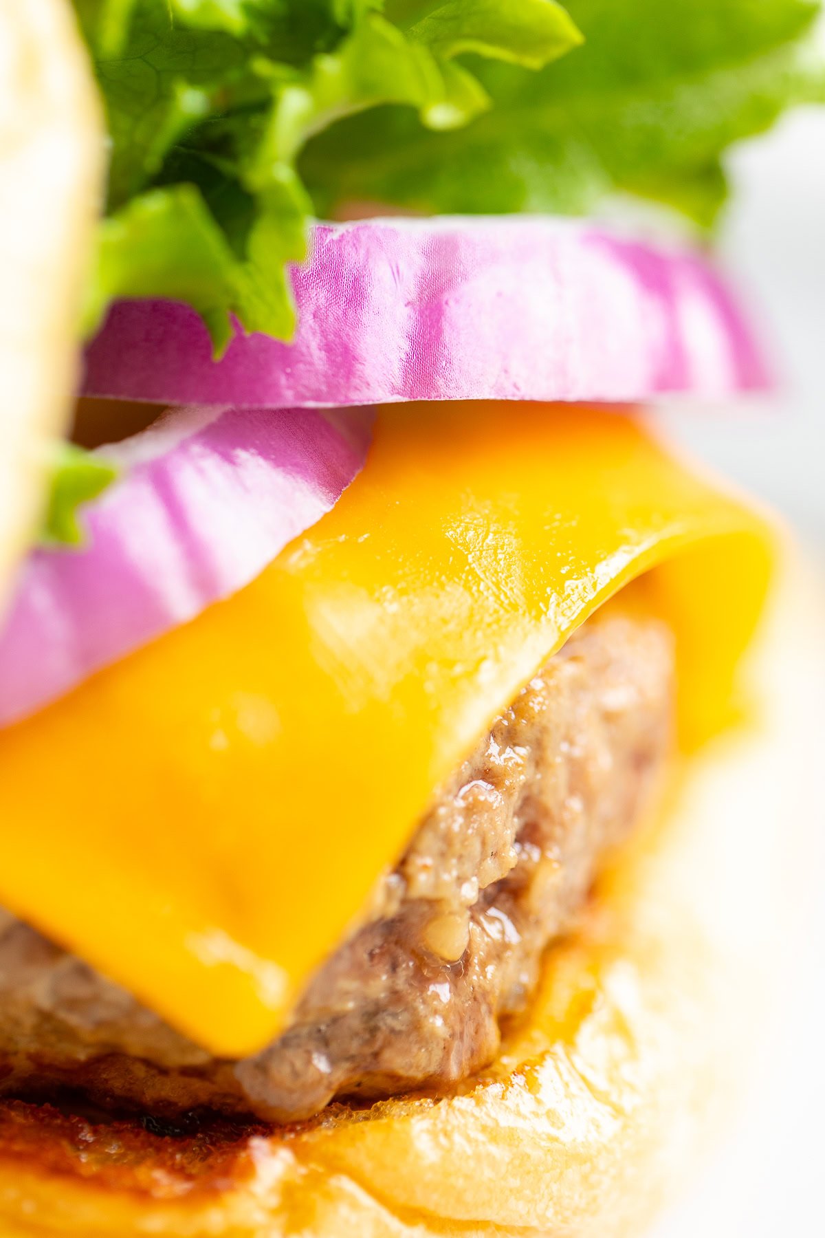 A close-up of a juicy burger reveals a beef patty, melted cheese, red onion rings, and crisp lettuce snugly nestled in a soft bun.