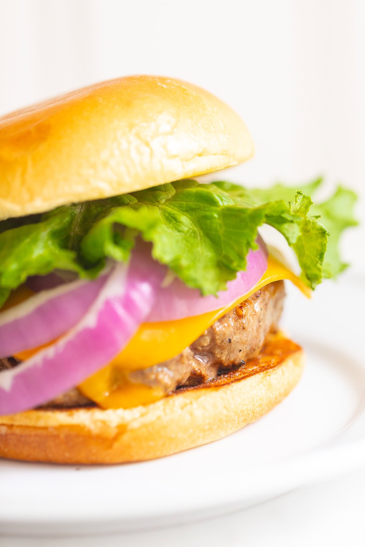 A juicy burger with lettuce, red onion, cheese, and a patty is served on a bun atop a white plate.