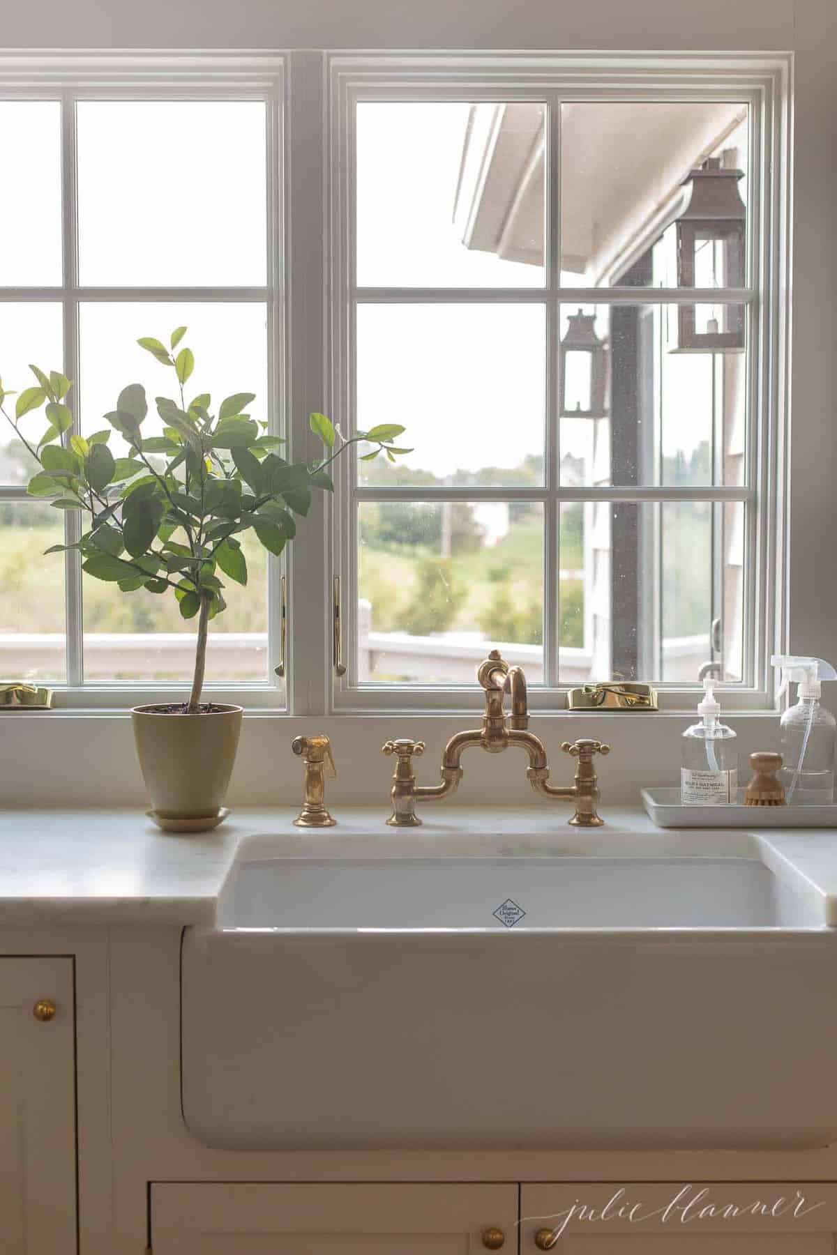 A white kitchen sink area, with a topiary style potted Meyer lemon tree.