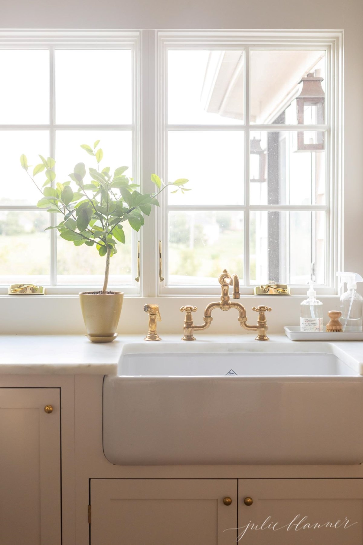 A meyer lemon tree in a pot by a kitchen sink with a brass faucet.