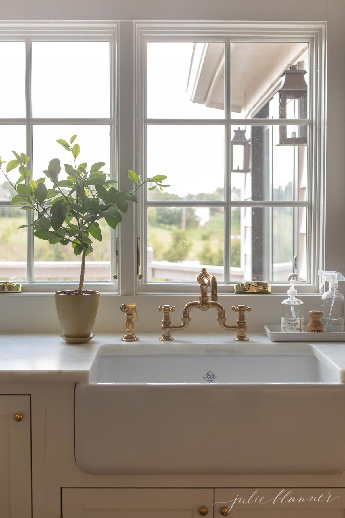 A meyer lemon tree in a pot by a kitchen sink with a brass faucet.