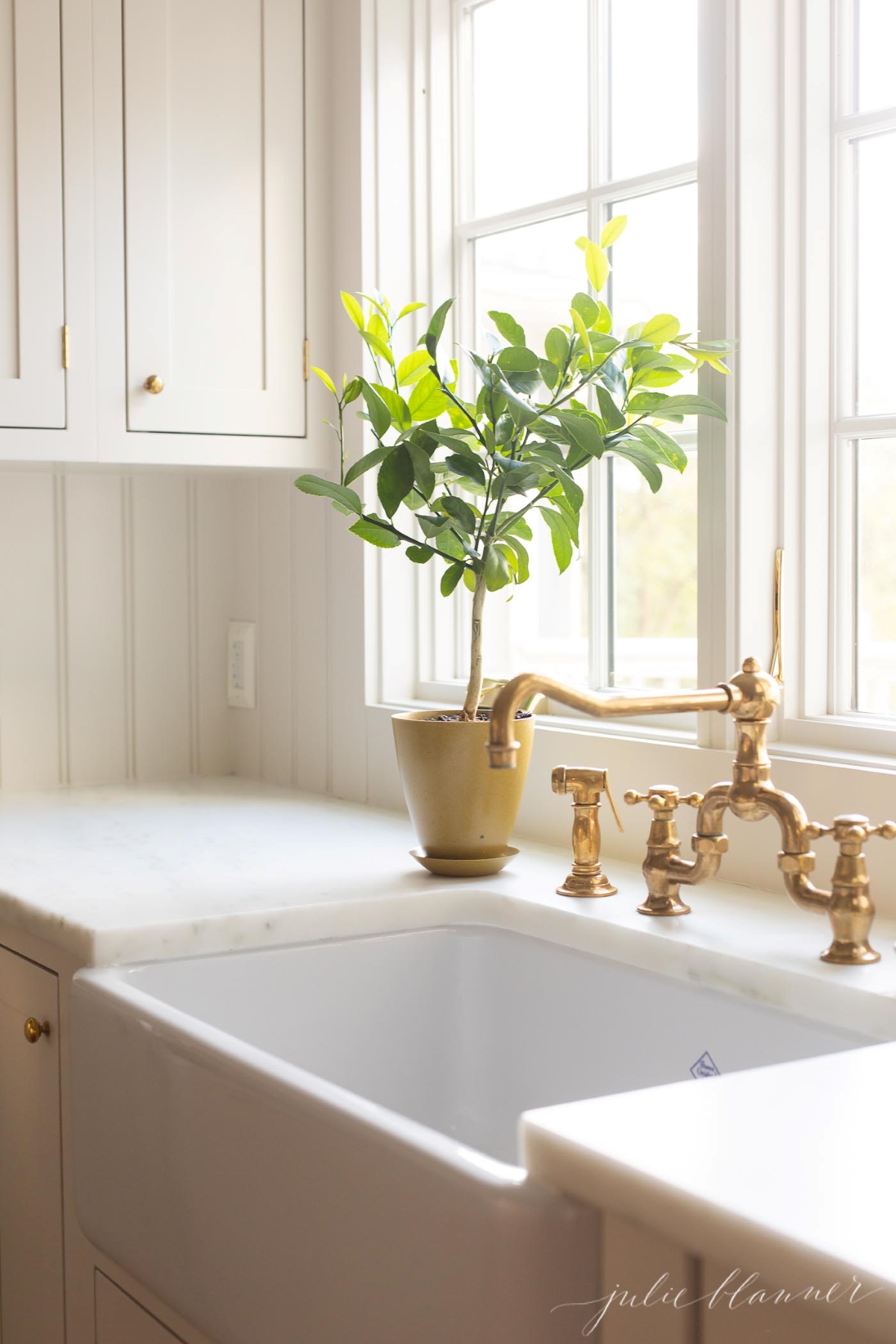 A meyer lemon tree in a pot by a kitchen sink with a brass faucet.