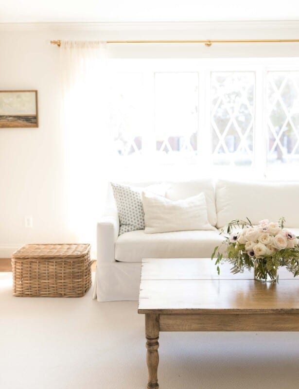 Minimalist living room with white sofa, wood coffee table.