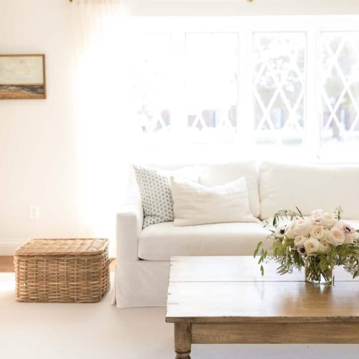 Minimalist living room with white sofa, wood coffee table.