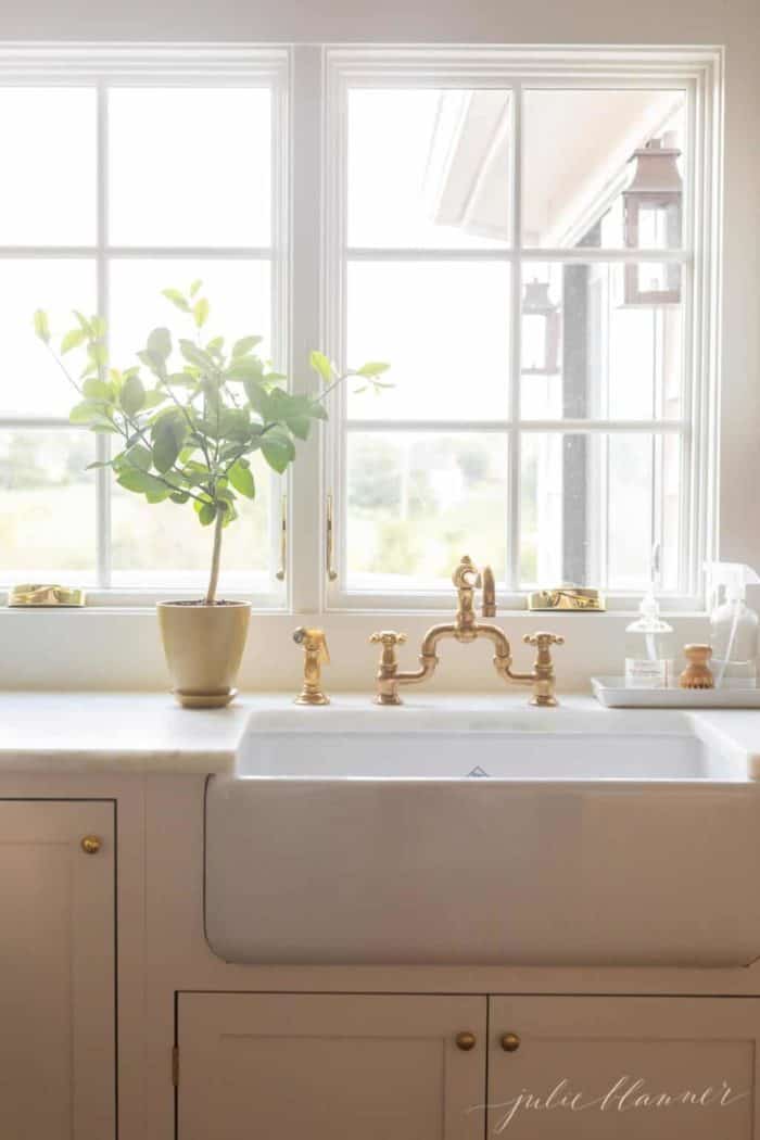 A simple kitchen sink image with a lemon tree topiary in a sunny window.