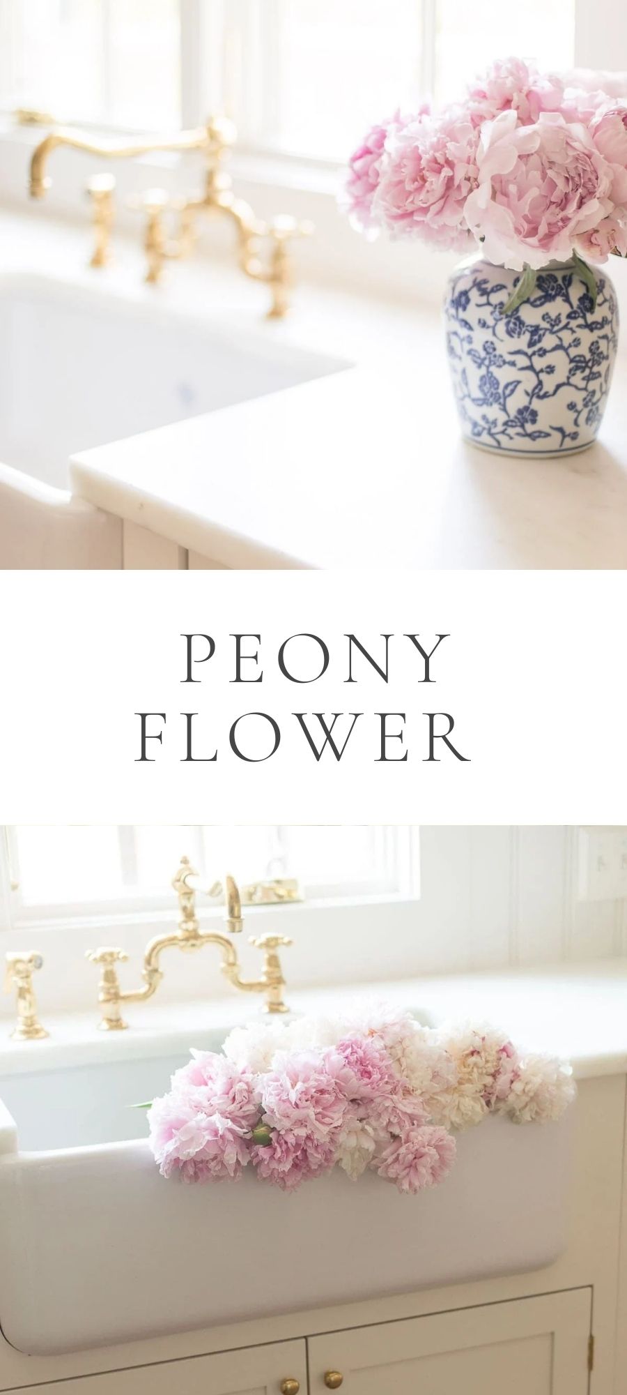 Peony Flower on kitchen counter in blue and white vase