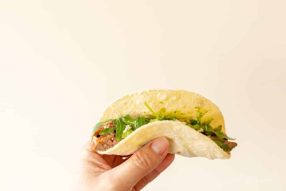 White background, hand holding a single taco de carne asada.
