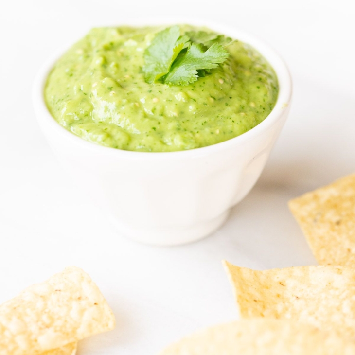 A bowl of salsa guacamole with tortilla chips surrounding.