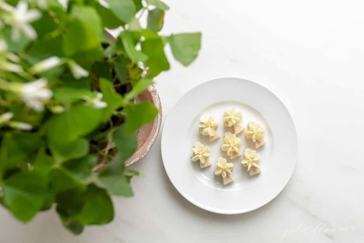 Tiny key lime cookies with frosting on a white plate. A plant is to the side.
