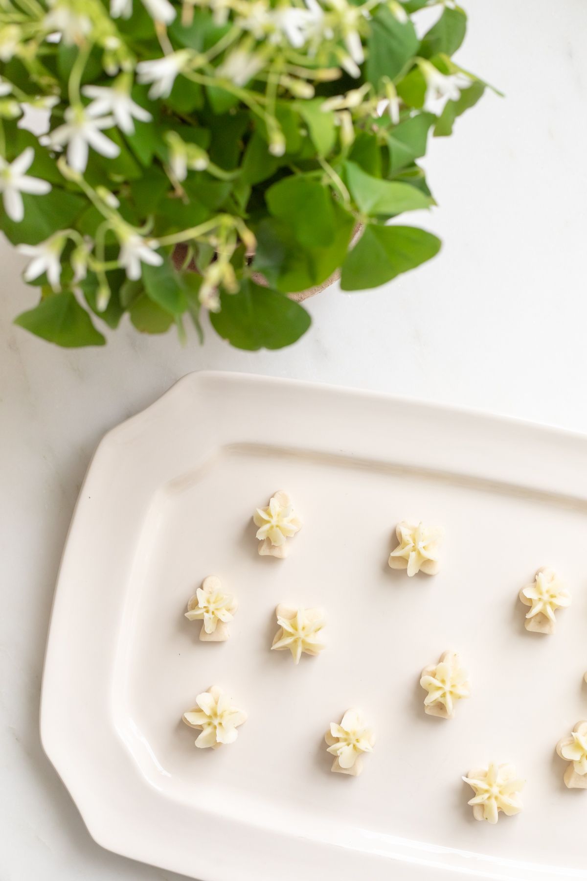 A white platter full of frosted key lime cookies.