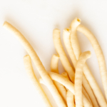 Close-up of plain bucatini pasta on a white background.
