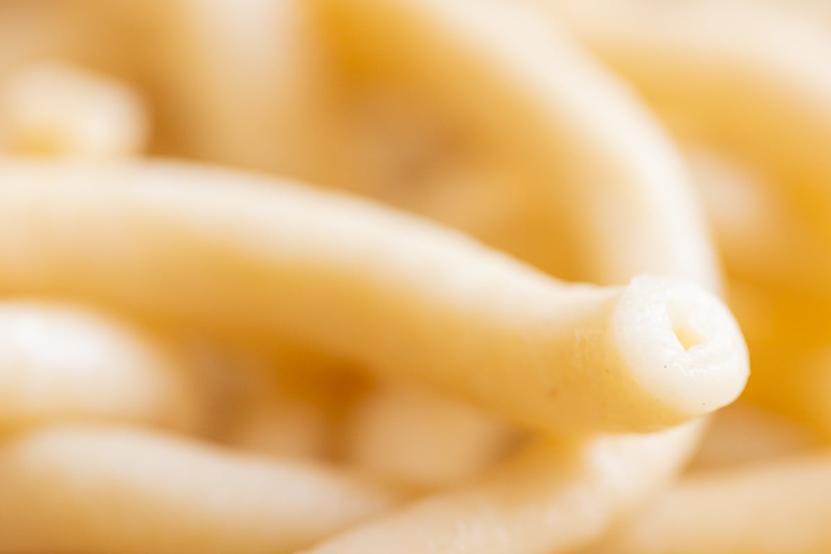 Close-up of homemade bucatini noodles with a soft focus, highlighting the texture and shape of the pasta.