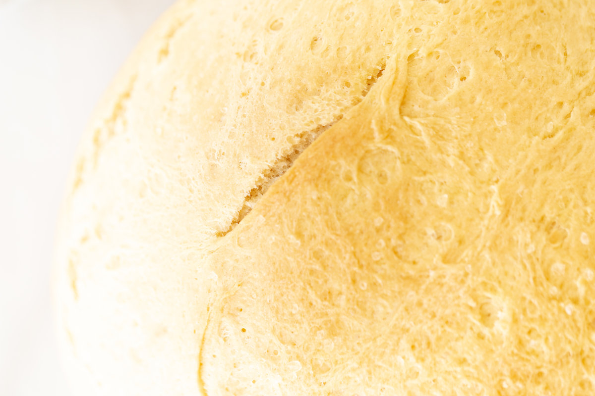 A close up image of homemade bread made in a Dutch oven.