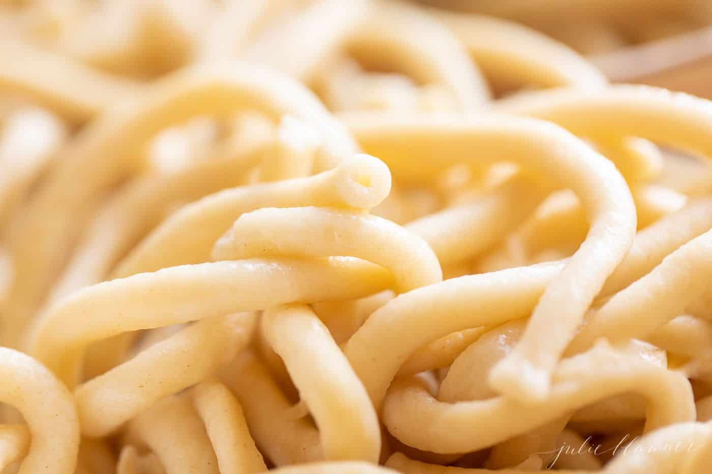 Close up of bucatini pasta noodles.