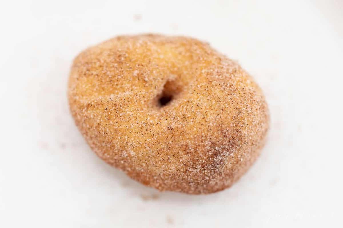A white plate with a biscuit donut covered in cinnamon sugar.