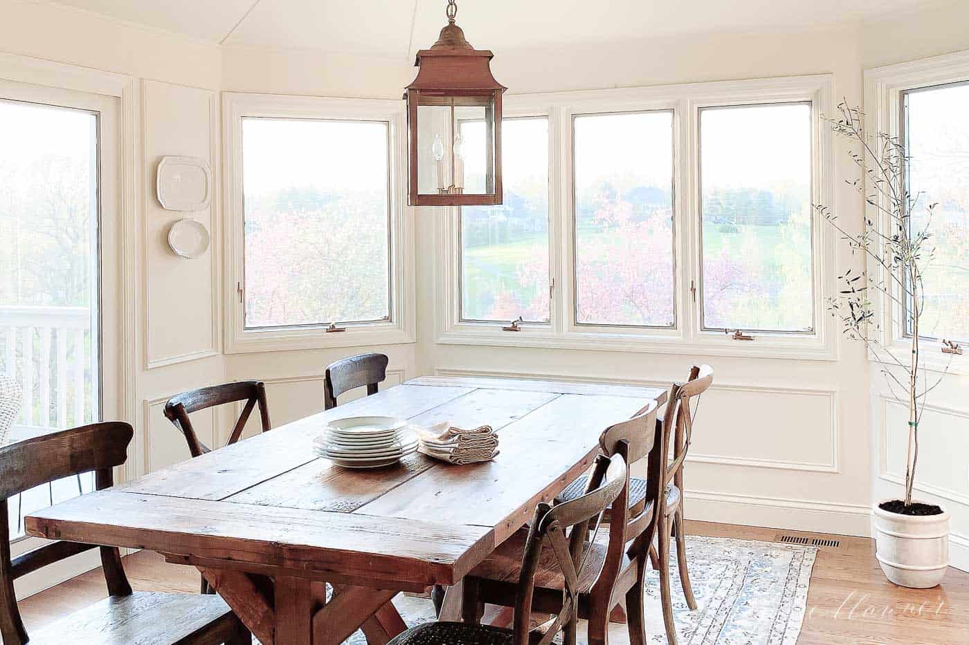 a white dining room with lots of windows, tall easy houseplant in the corner