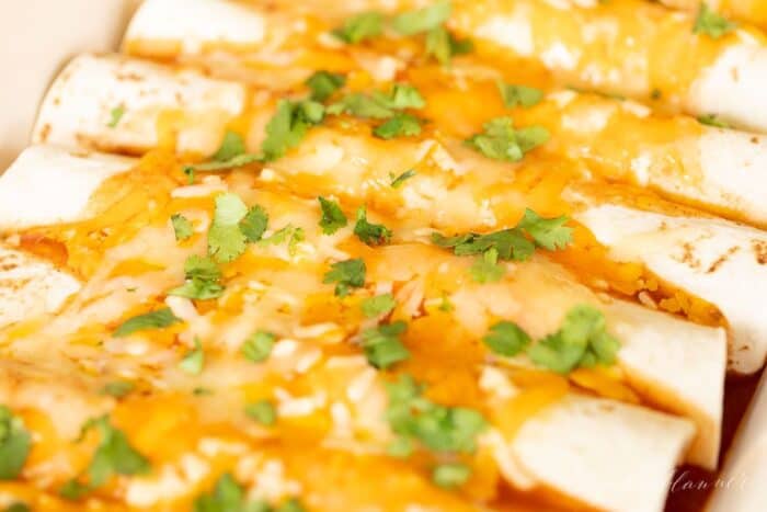 Fast and Easy Chicken Enchilada Recipe | Julie Blanner