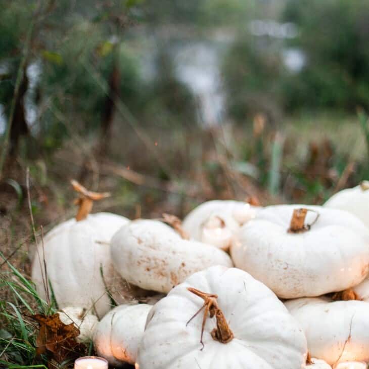 pile of white pumpkins with candlelight