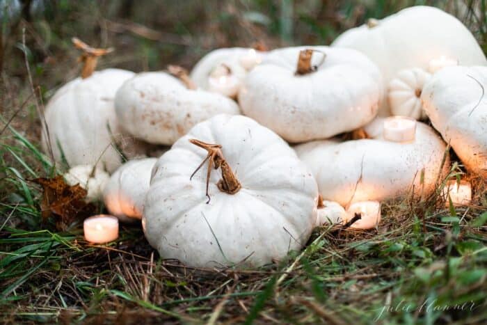 pile of white pumpkins with candlelight