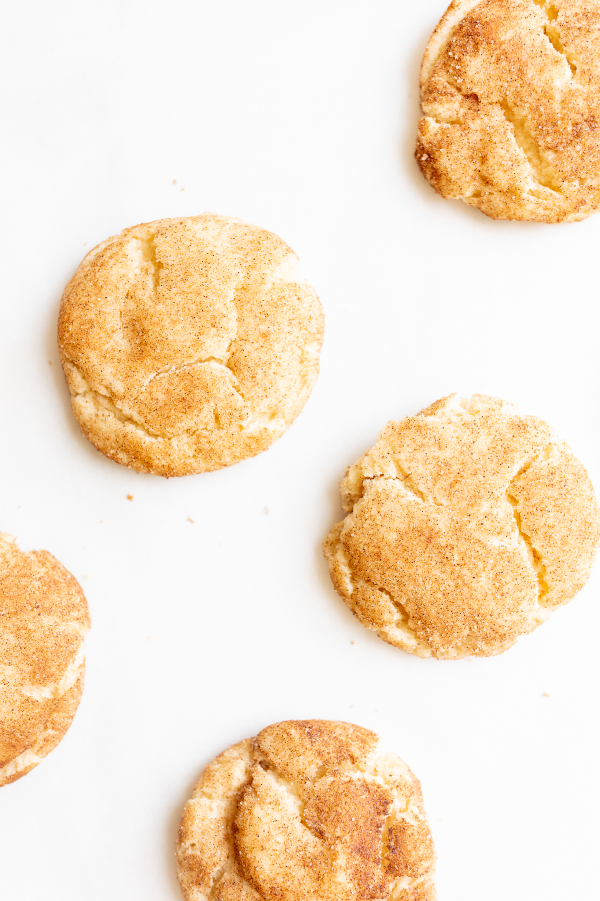 snickerdoodle cookies on a white countertop.