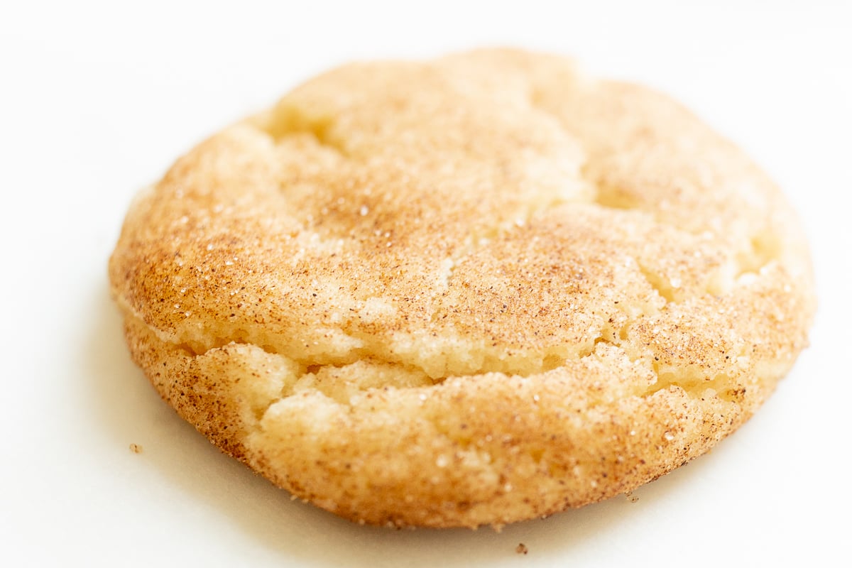 A snickerdoodle cookie on a white countertop.