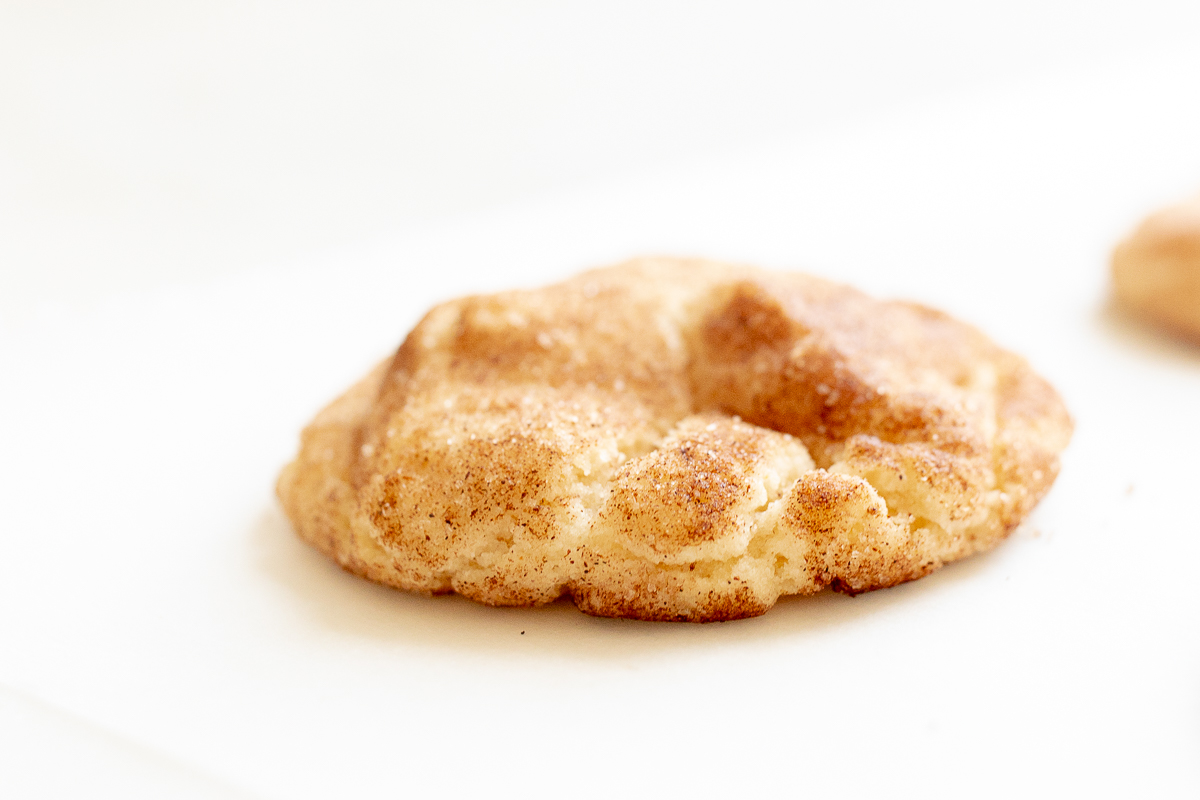 A snickerdoodle cookie on a white plate.