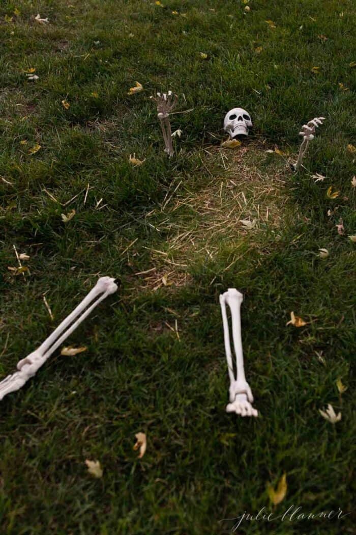 A skeleton peeking through the grass for Halloween decorations.