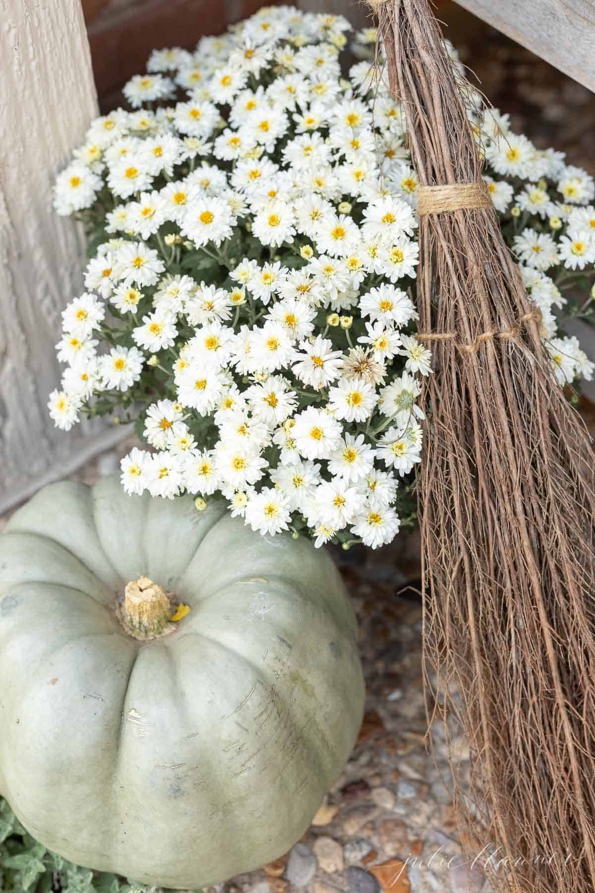 Halloween porch decorating with a white mum, green pumpkin and witch's broom.