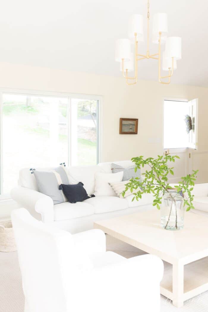 A white living room with large windows and a dutch door with the top half open.
