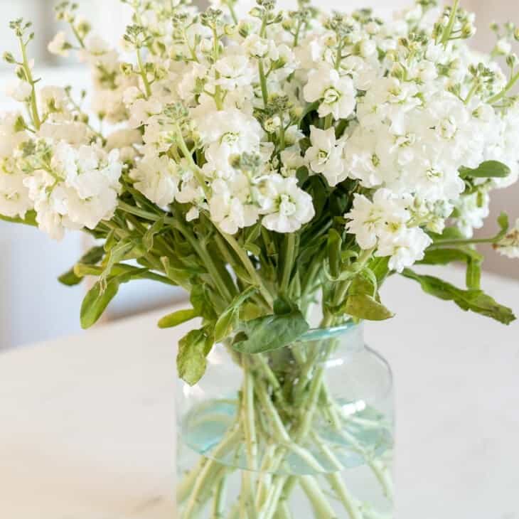 A white stock flower arrangement in a clear glass vase on a marble surface.