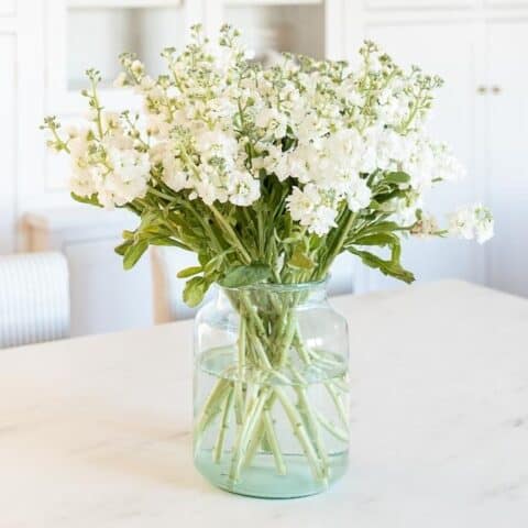 A white stock flower arrangement in a clear glass vase on a marble surface.