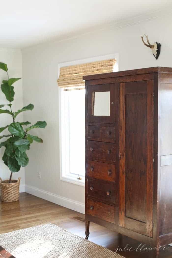 A cream colored family room with dark furniture and large fiddle leaf fig against one wall.