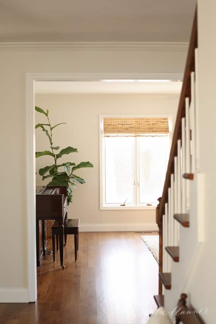 Looking into a white living room from an entryway, with a vintage piano and a large fiddle leaf fig tree in the corner.