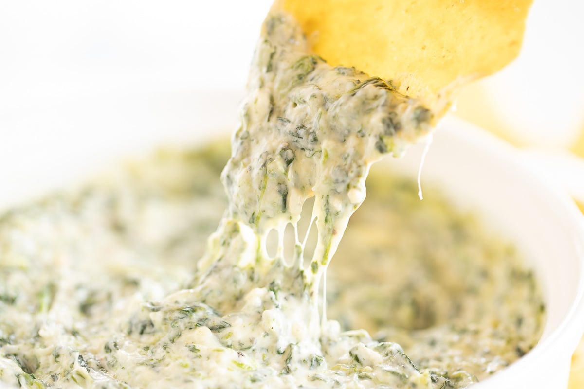 Cream cheese spinach dip being dipped into a white bowl.