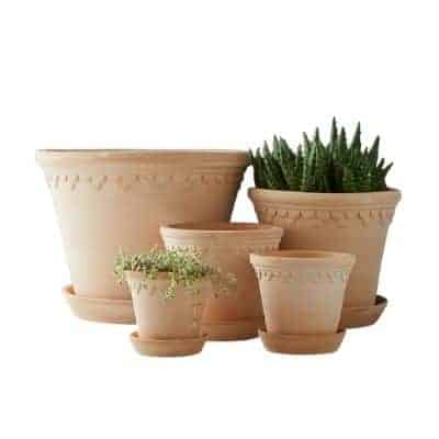 scalloped pots with plants