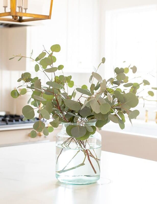 A clear glass vase on the island of a white kitchen, filled with silver dollar eucalyptus.
