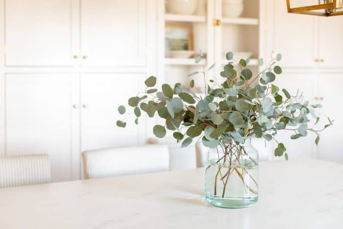A clear glass vase on the island of a white kitchen, filled with silver dollar eucalyptus.